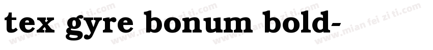tex gyre bonum bold字体转换